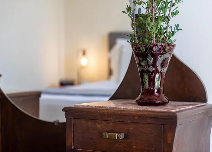 Entheos Center Kefalonia Αργοστόλι